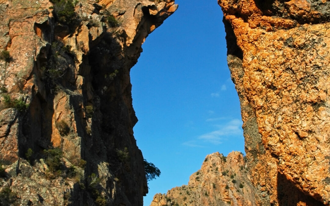Corse